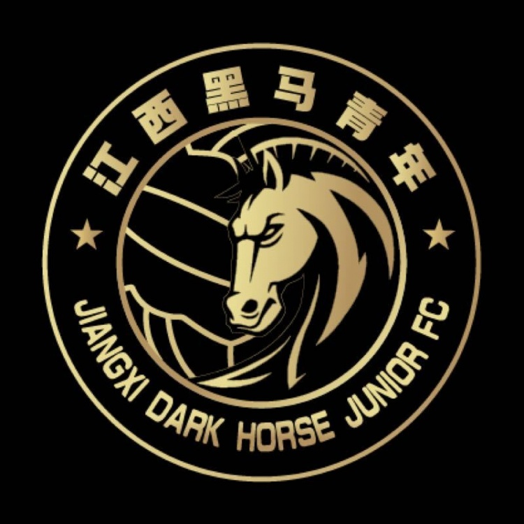 官方：江西黑馬青年完成異地遷移程序，更名為溫州職業(yè)足球俱樂(lè )部